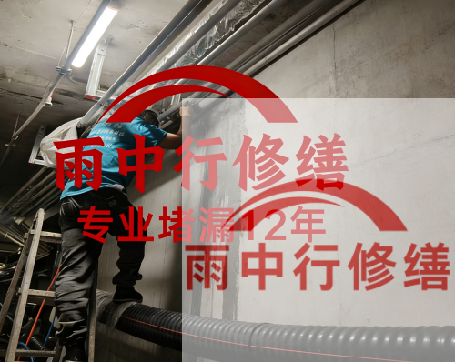 泰安电缆线空洞堵漏加固案例