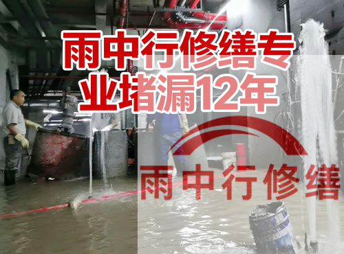 泰安中国五矿某大型污水处理厂堵漏案例